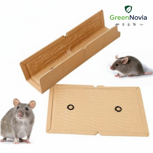 🐀 Plaque de glu sur support cartonné – Spéciale rats